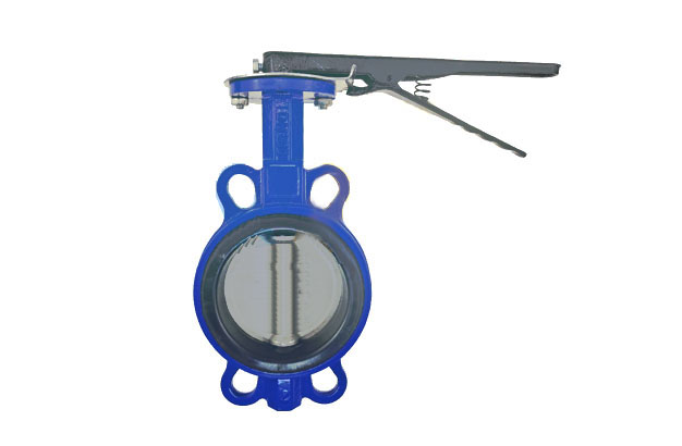 A Type Butterfly Valve